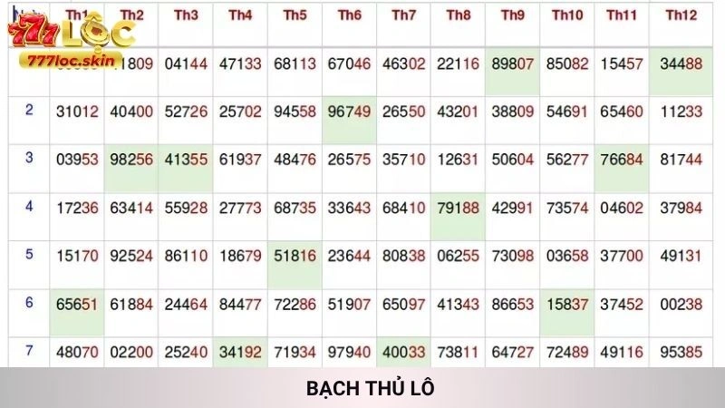Bạch Thủ Lô