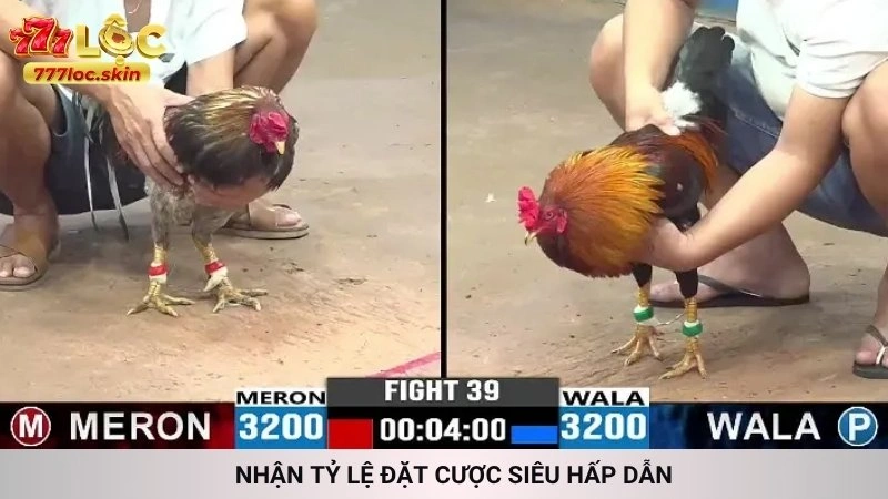 Nhận tỷ lệ đặt cược siêu hấp dẫn